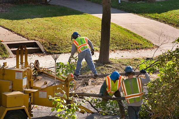 Best Firewood Processing and Delivery  in Nellieburg, MS